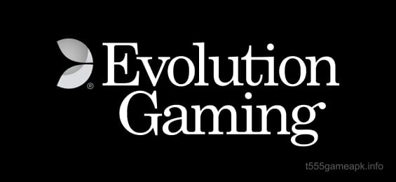 Partner 4 - Play R Game